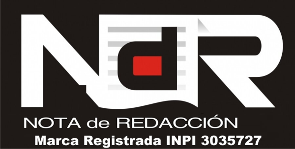 https://www.notaderedaccion.com.ar/